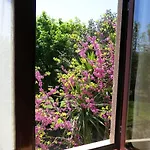 Prázdninový dům Casa Dos Tinocos Braga