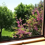 Casa Dos Tinocos Prázdninový dům