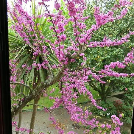 Casa Dos Tinocos Casa de Férias