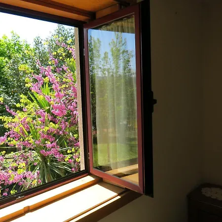 Casa Dos Tinocos Braga