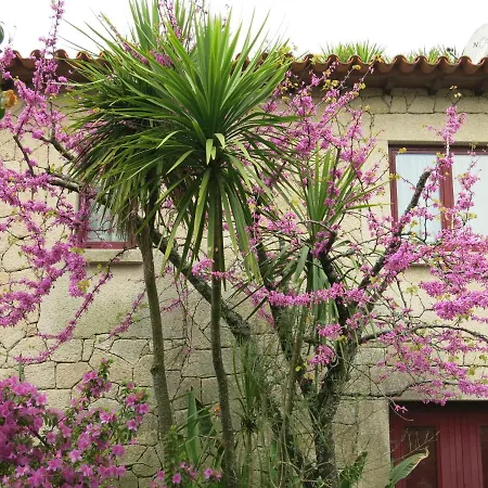 Casa de Férias Casa Dos Tinocos