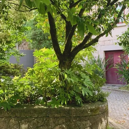 Casa Dos Tinocos Casa de Férias Braga