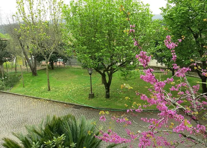 Casa Dos Tinocos 펜션 *