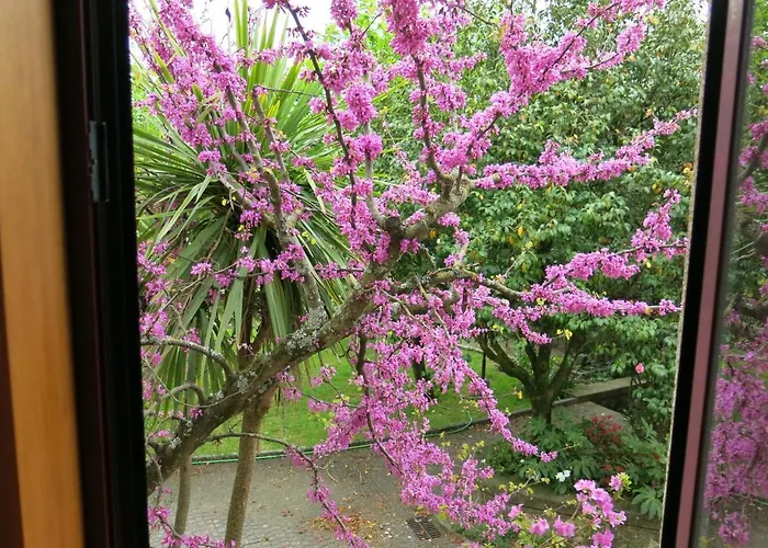 Casa Dos Tinocos Semesterbostad