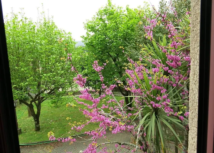 Casa Dos Tinocos 펜션