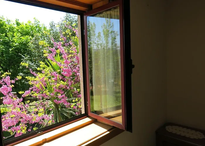 Casa Dos Tinocos Braga