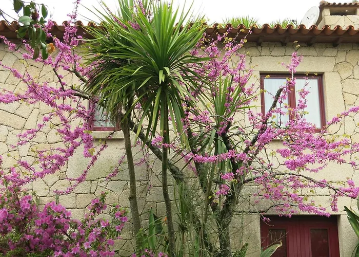 Semesterbostad Casa Dos Tinocos