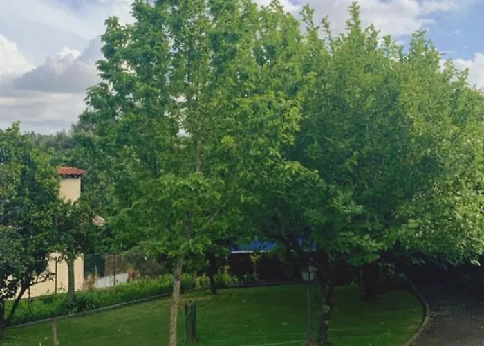 Casa Dos Tinocos 브라가