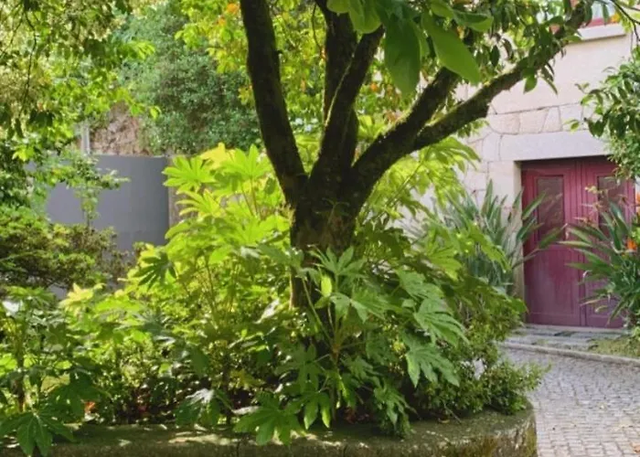 Casa Dos Tinocos 펜션 브라가